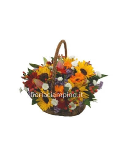 Bouquet assortito di fiori freschi colorati » Fiorista a Ciampino. Invio  fiori a Ciampino con consegna a domicilio.