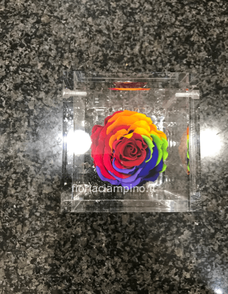 Flowercube rosa rainbow 6*6